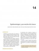 Epidemiología y prevención del cáncer
