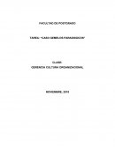 TAREA: “CASO GEMELOS PARADOGICOS”