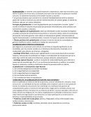 ¿Globalizacion es positiva o negativa?