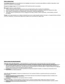 Resumen de internacional de la empresa