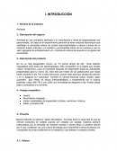 Plan de MErcadotecnia empresa Amnesia