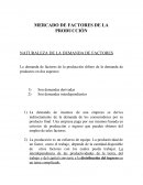 MERCADO DE FACTORES DE LA PRODUCCIÓN NATURALEZA DE LA DEMANDA DE FACTORES