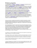 Trabajo de ingles. Pronombres personales