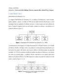 CASO PRÁCTICO Distribuidora de Alimentos, S.A