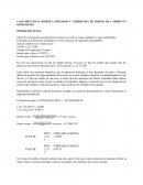 CASO PRÁCTICO: DOMER LAMINADOS Y COBERTURA DE RIESGO DE CAMBIO EN OPERCIONES