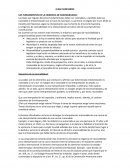 LOS FUNDAMENTOS DE LA EXIGENCIA DE RAZONABILIDAD