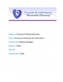 Proceso de atención de enfermeria
