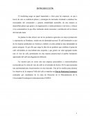 Plan de Marketing Valle del café