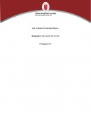 Planeación de nivel primaria; Historia