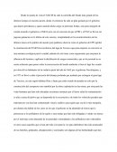 Opinion sobre el NAICM