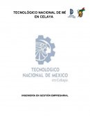 INGENIERÍA EN GESTIÓN EMPRESARIAL MERCADOTECNIA