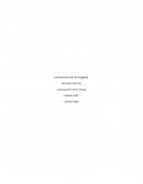 Comunicación Oral y Escrita. Capacidad de organización para planificar su trabajo
