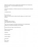 INVESTIGACIÓN SOCIOJURIDICA - ECONOMIA SOLIDARIA DE LOS PUEBLOS INIDGENAS