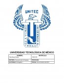 Control de Lectura Economía