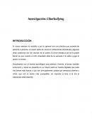 Investigación: Ciberbullying