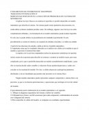 MODELOS MATEMÁTICOS EN LA SOLUCIÓN DE PROBLEMAS DE CANTIDAD DE MOVIMIENTO