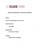 CASO PRÁCTICO – IBM