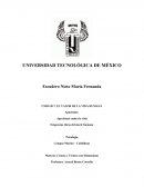 Agreciones contra la vida