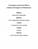 Desarrollo social-cultural