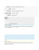 Unidad 2- Act. 3 Ejercitando el uso de escala