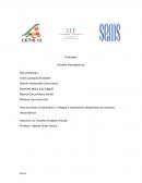 Plantillas Piezoelectricas