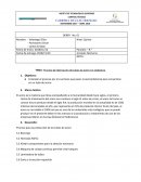 Proceso para la fabricacion de tubos de cobre