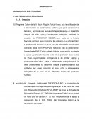 INFORME FINAL PRACTICA INTENSIVA I - II PROGRAMA COLIBRÍ DE LA X-MACRO REGIÓN POLICIAL PUNO ÁREA DE BIENESTAR SOCIAL