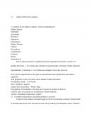 Plan de relaciones publicas Mactzil