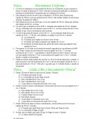 Física. Movimiento Uniforme