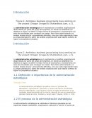 Administración estrategica es el resultado de un análisis organizacional