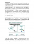 Apuntes direccion estrategica