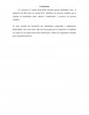 Conclusiones bibliografia Plan único de cuentas PUC