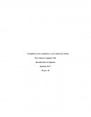 La logística en el e-commerce y en el comercio exterior