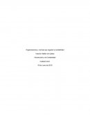 Organizaciones y normas que regulan la contabilidad , empresa Lexas