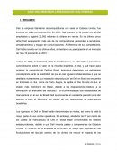 Caso empresa Dell
