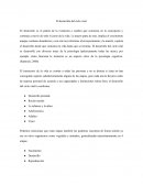 El desarrollo del ciclo vital