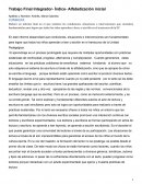 Trabajo Final Integrador- Índice- Alfabetización inicial