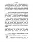 La creación y organización de la investigación de las redes