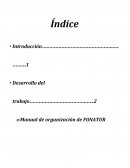 Manual de organización y caso práctico