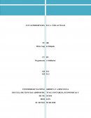 ESCUELA DE CIENCIAS ADMINISTRATIVAS, CONTABLES, ECONOMICAS Y DE NEGOCIOS