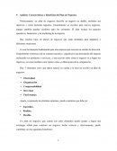 Análisis: Características y Beneficios del Plan de Negocios