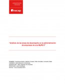 Análisis de las áreas de desempeño en la administración de empresas de una MyPE II