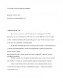 PLAN DE GESTION DE RIESGOS Hotel Diamante