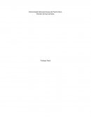 Programa de ejercicio para persona adulta