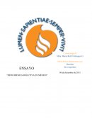 Reincidencia delictiva en México