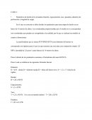 Tronadura proyecto tarapaca, caso 2