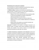 Conduccion auditorias