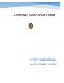 Plan de Negocios para la creación de un Spa Móvil Dog Tor Motas