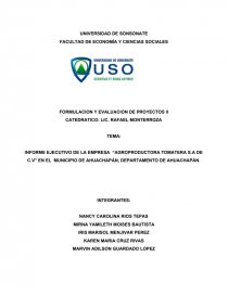 INFORME EJECUTIVO DE LA EMPRESA “AGROPRODUCTORA TOMATERA S.A DE C.V”. Página 1