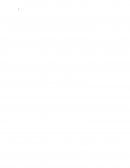 Analisis de Sistema Centro de Internet